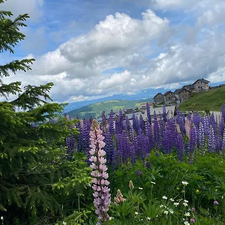 Klippitzstar Mit Panoramablick Alpstuga